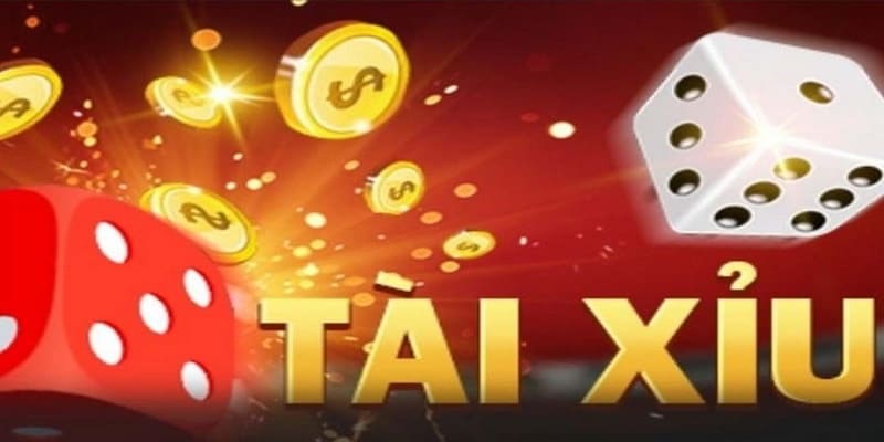 Nhà cái Tài xỉu Nhà cái Tài xỉu