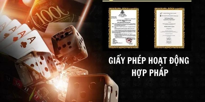 giấy phép hoạt động